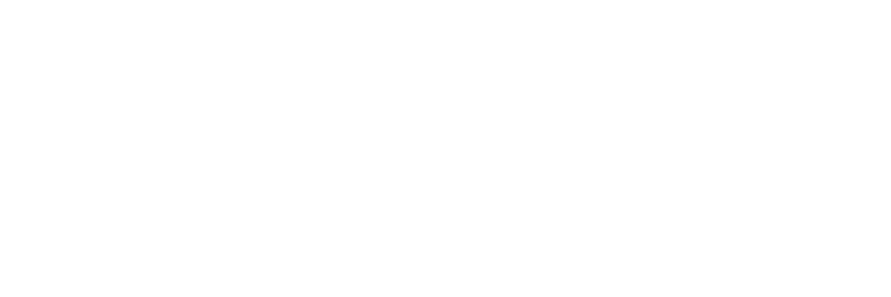 Plus Performance